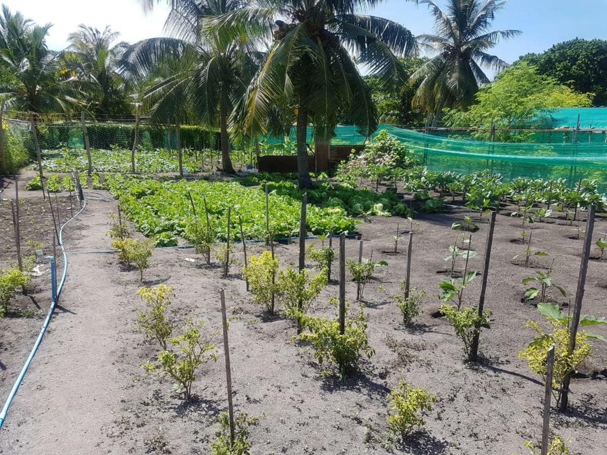 Dharavandhoo Stay Exterior foto